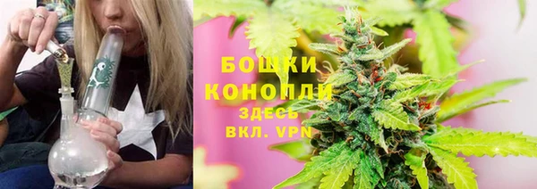 меф Дмитриев