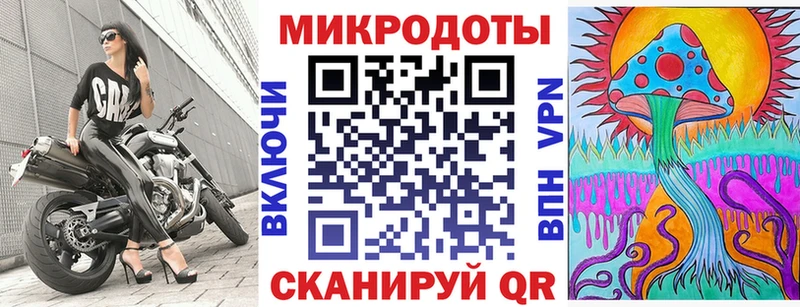 Псилоцибиновые грибы Psilocybe  Свободный 