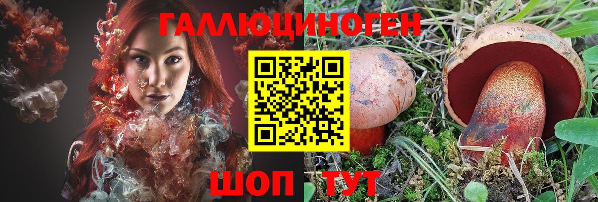 Галлюциногенные грибы Psilocybe  купить наркотики цена  Свободный  Вход с VPN  Галлюциногенные грибы GOLDEN TEACHER 